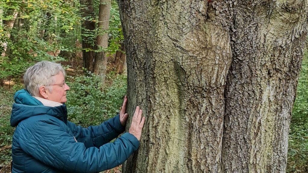 Verbindung mit der Kraft der Natur